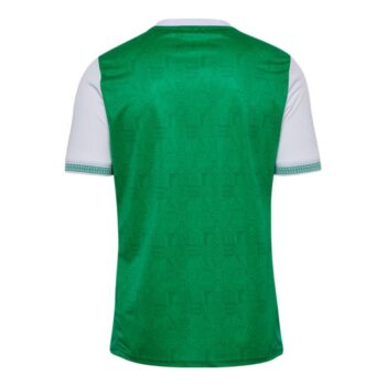 Maillot Saint Etienne Domicile 25/26