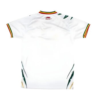 Maillot Mali Domicile 2024