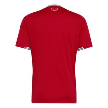 Maillot Pays de Galles Domicile 2026