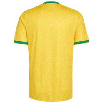 Maillot Afrique du Sud Domicile 2026 2027 Maillot Afrique du Sud Domicile 2026 2027