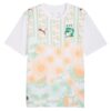 Maillot Cote d’Ivoire Exterieur 2026 2027 Maillot Cote d’Ivoire Exterieur 2026 2027