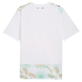 Maillot Cote d’Ivoire Exterieur 2026 2027