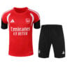 Maillot Arsenal Training Kit Rouge Camiseta de entrenamiento del Arsenal, color rojo