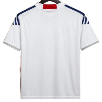Maillot Rétro Vintage Japon Extérieur 2010 - dos